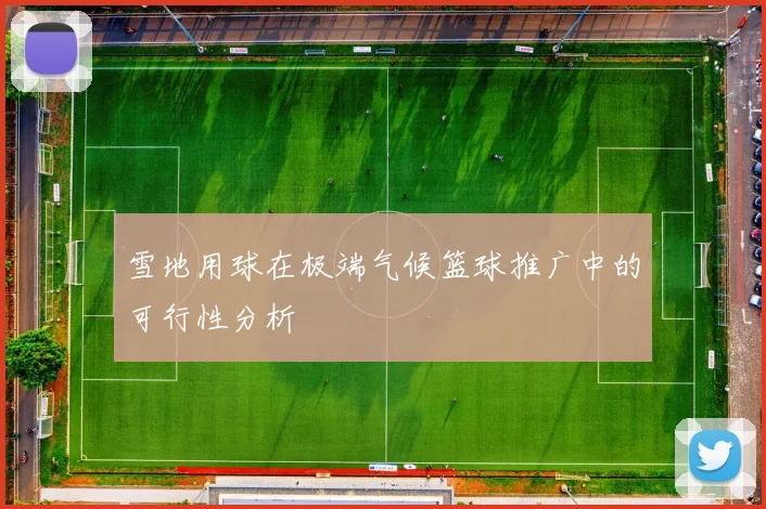 雪地用球在极端气候篮球推广中的可行性分析
