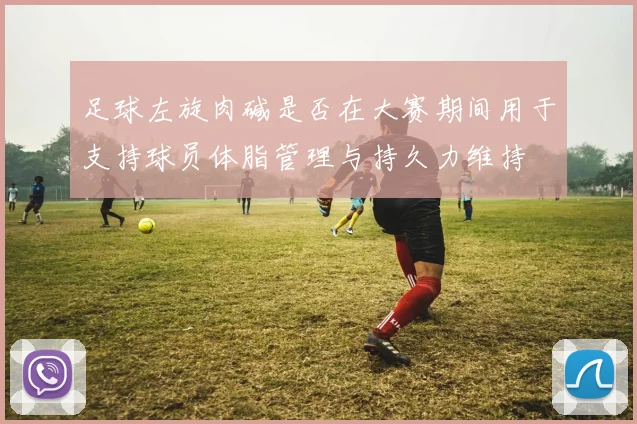 足球左旋肉碱是否在大赛期间用于支持球员体脂管理与持久力维持