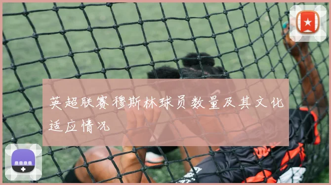 英超联赛穆斯林球员数量及其文化适应情况