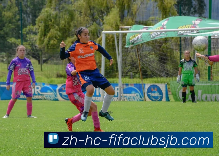 世界杯赛程平台生态图