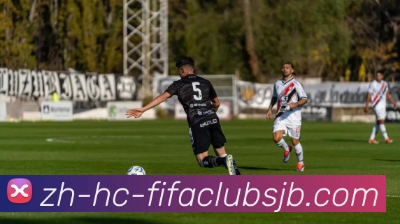 数据防护可视化