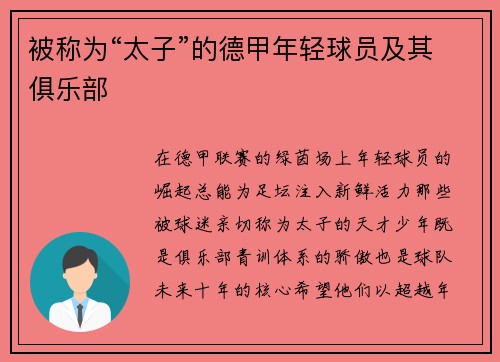 被称为“太子”的德甲年轻球员及其俱乐部